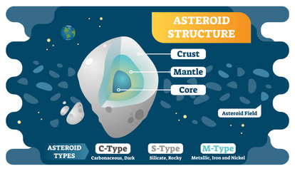Asteroid structure cross section and asteroid types vector illustration diagram. © VectorMine