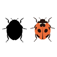 ladybug vector illustration flat style black silhouette