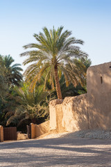 Jimi Oasis in Al Ain in the UAE