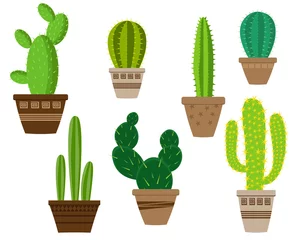 Wandaufkleber Kaktus im Topf Kaktus-Symbole in einem flachen Stil auf weißem Hintergrund. Hauspflanzen Kaktus in Töpfen