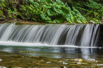 a mountain stream in the Carpathian mountains. Beautiful view of the Carpathians