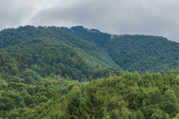 Fototapeta na wymiar Beautiful view of the Carpathians