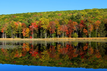 Vivid autumn foliage reflected in a calm lake surrounded by a dense forest under a clear blue sky...