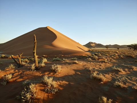 Africa, Namibia, Namib-Naukluft National Park, Namib desert, desert dunes