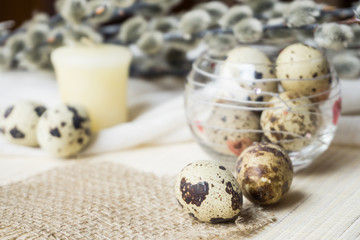 Obraz premium Easter theme, holiday decoration, candles, pussy willow and Easter eggs of quail