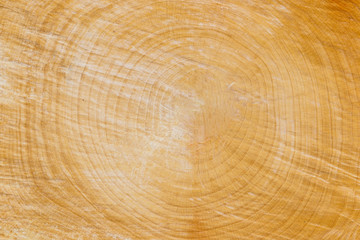 close up wooden cut texture