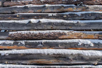 Background from the old put trees