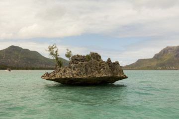 islet in the sea