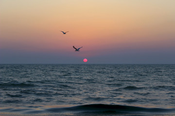 Fototapeta na wymiar Blurred Natural Background.Seagulls Flying Over A Calm Ocean During Sunrise.A Scenic Sunrise Over An Ocean.