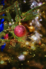 Obraz na płótnie Canvas Red Christmas toy on a fir branch