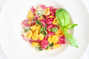 colored conchiglie pasta with parmesan and basil