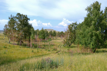 Редколесье Башкирии