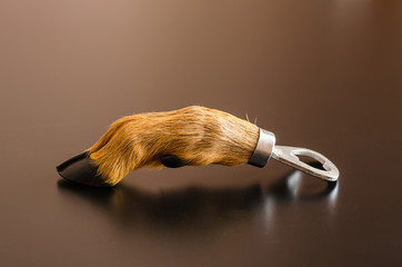 Bottle opener, made of natural roe deer foot (with hoof), wild animal protection theme, close up...