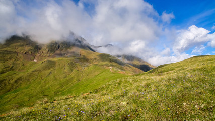 mountain landscape and fresh alpine spring grass with buttercups against the backdrop of mountain slopes and rain clouds