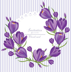 Crocus ultra violet flowers wreath Vector. Spring backgrounds