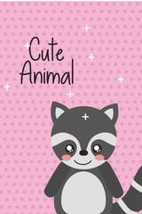 cute animal raccoon cartoon bright background vector illustration