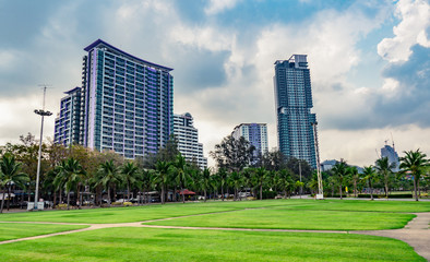 Fototapeta na wymiar Green grass field, pedestrian road and coconut trees at the city park beside the sea. Modern building background