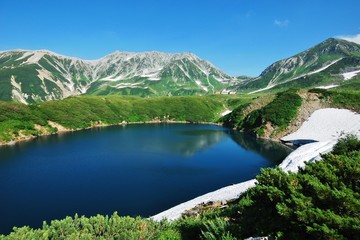 Obraz na płótnie Canvas Tateyama alpine / Toyama ~ summer