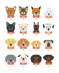 group of dog breeds and cat
