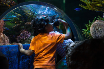 Child watching the marine life in oceanarium. Undersea world