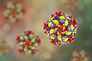 Poliovirus, an RNA virus that causes polio disease - obrazy, fototapety, plakaty