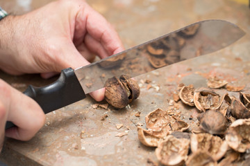 mans hands breaking walnut with knife