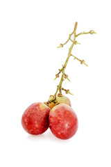 Half-empty grapes branch isolated on white background