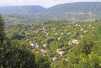 Fototapeta premium cityscape of Sukhumi - the main city of Abkhazia