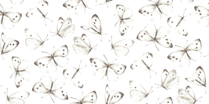 Tenderness of summer time. Butterfly, Pieris brassicae in the design of postcards. Wreath of white, flying butterflies.
