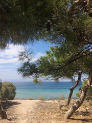 View from the beach to the azure sea through coniferous trees. Greece. Summertime.