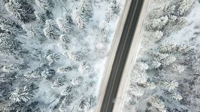Road through the winter forest. Aerial view landscape. 