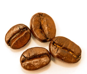 Fresh Coffee Beans Shows Hot Drink And Brown