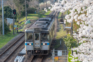 春と電車