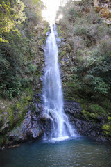 Fototapeta na wymiar 大樽の滝（高知県越知町）