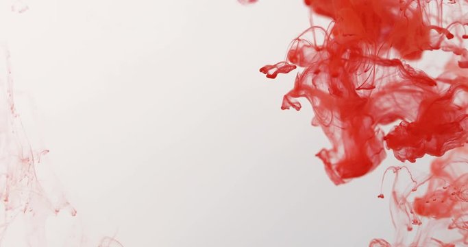 Close up red colored drop in water , abstract motion movement of watercolor ink splashing background , 4K Dci resolution