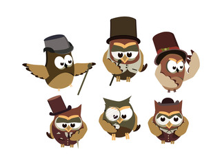 Funny owls gentlemen, set on isolated background