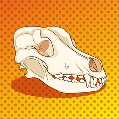 Pop art skull dog sideways. Color background. Comic book style imitation vector