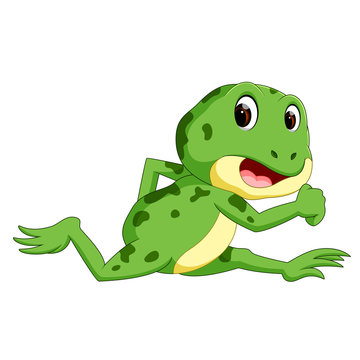 Green frog with happy smile