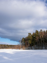 Frozen lake and huge trees