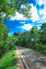 Fototapeta na wymiar Sigiriya Lion Rock Fortress in Sri Lanka