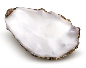 Deurstickers Fresh oyster isolated with shadow. Clipping path. © A_Skorobogatova