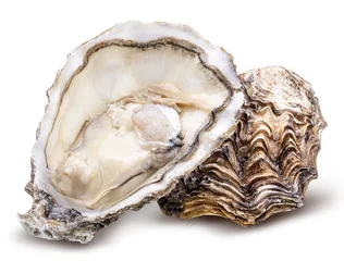 Fotobehang Verse oester geïsoleerd met schaduw. Uitknippad. © A_Skorobogatova