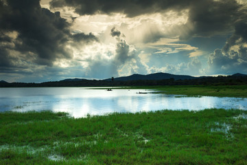 Sri Lanka Lake, Sri lanka landscape, Trees on water, Trees on lake