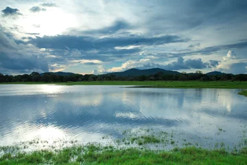 Foto op Plexiglas Sri Lanka Lake, Sri lanka landscape, Trees on water, Trees on lake © Pakhnyushchyy