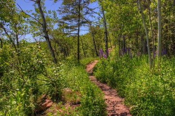 Hawk Ridge, Duluth, Minnesota
