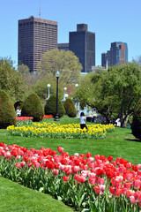Boston Public Garden and City Skyline in the Spring