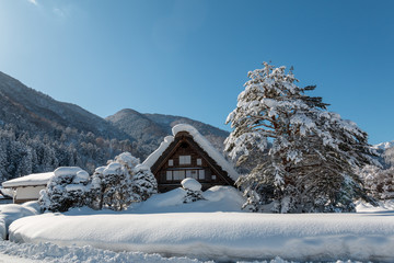 Gassho  house in Shirakawago village with snow covered ground ,blue sky and mountains background at winter in Gifu,Japan.