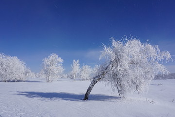 beautiful winter landscape