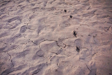 ground surface for background
