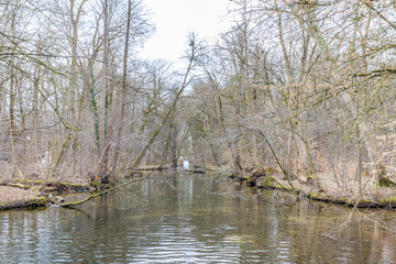Wald